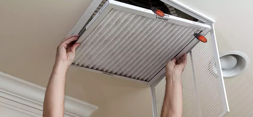 Preventive Cockroach-Proofing for Ducts in Shively