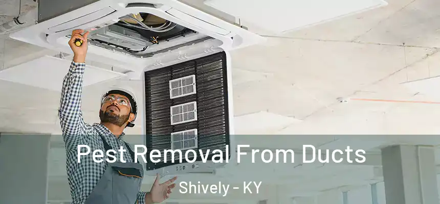  Pest Removal From Ducts Shively - KY