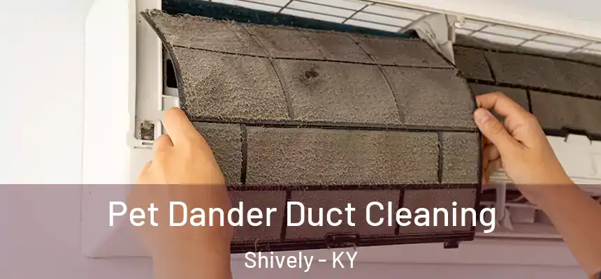  Pet Dander Duct Cleaning Shively - KY