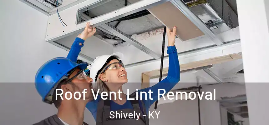  Roof Vent Lint Removal Shively - KY