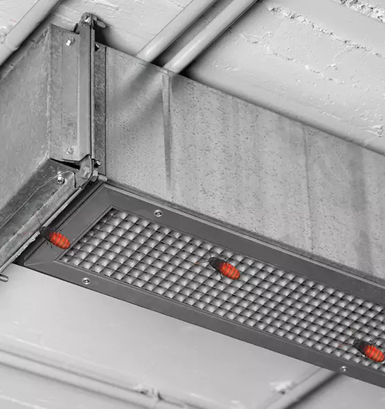 About Air Duct Cockroach Removal in Shively, KY