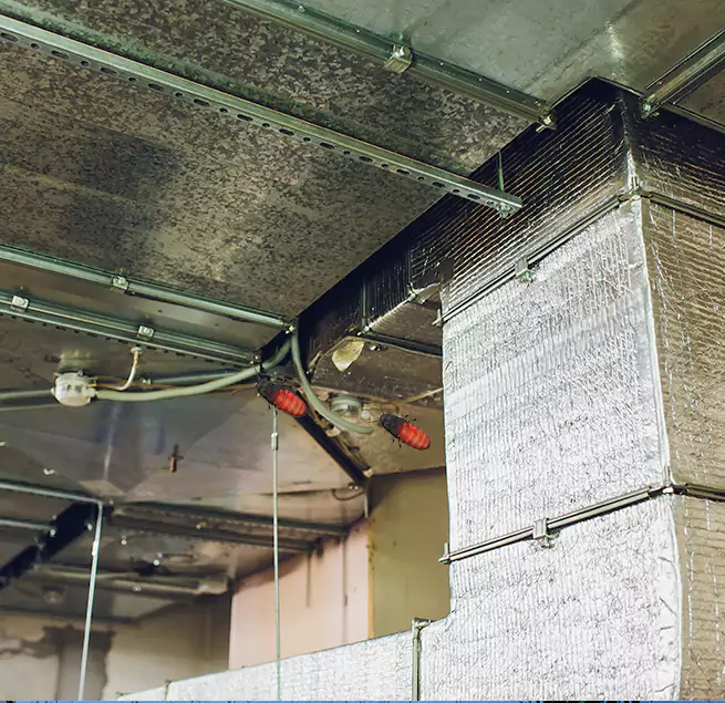 Why Homeowners & Businesses Trust Us in Shively, KY?